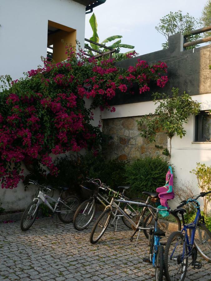 Casa Da Tapada - Grupo Casas Vale Do Lima Βίλα Ponte de Lima Εξωτερικό φωτογραφία